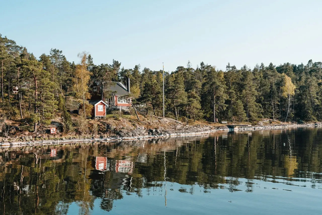 summer socks for women