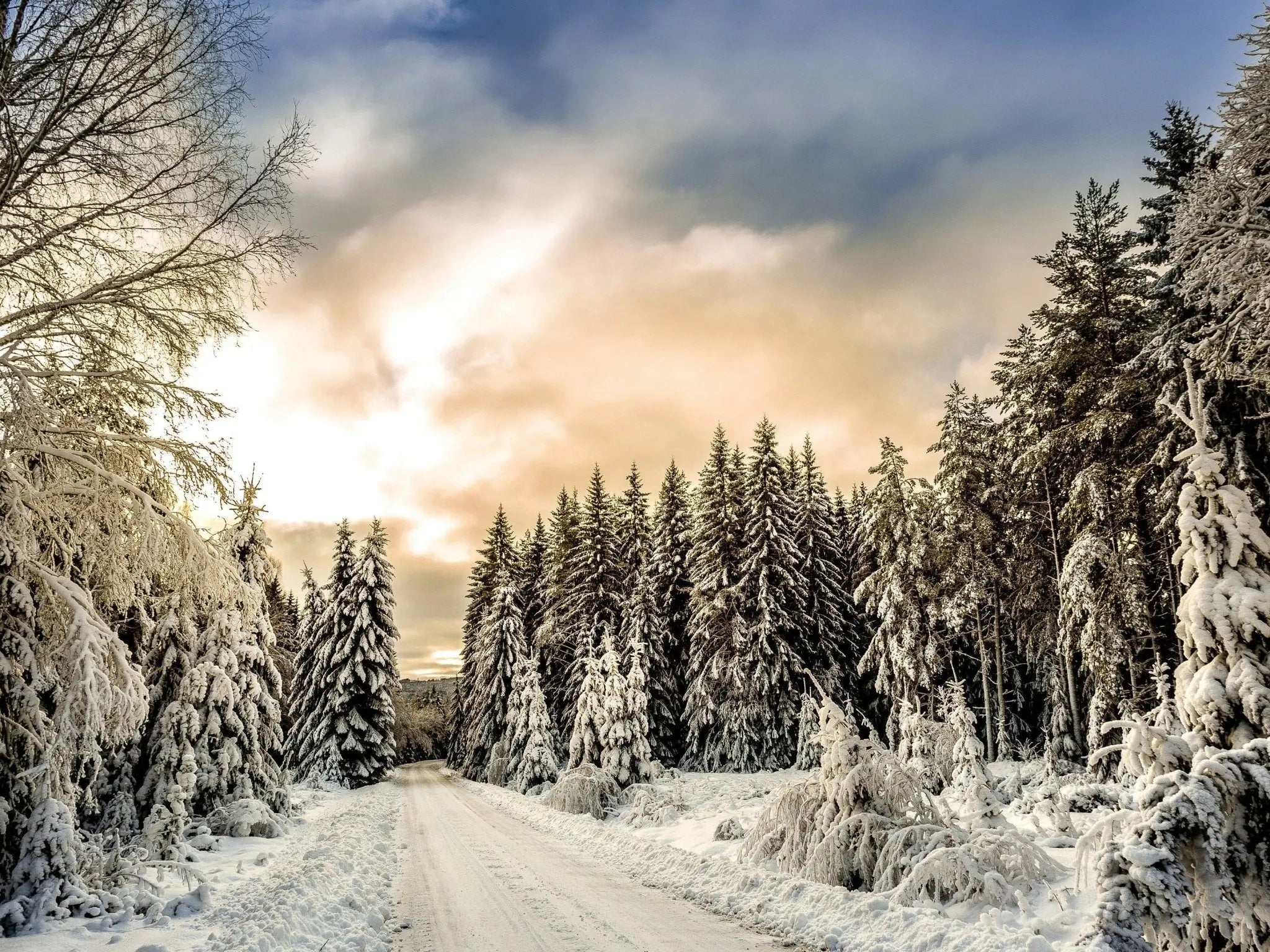 Understanding “Lagom” in Swedish Culture | AMO & Oak - AMO & Oak